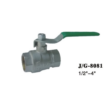 8081